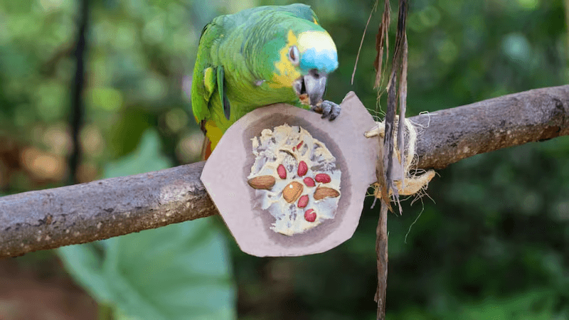 TRÁFICO DE FAUNA: EL DELITO QUE MUEVE MILLONES Y AMENAZA A ESPECIES DE AMÉRICA LATINA