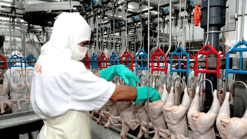 ABREN TAIWÁN A LA CARNE DE POLLO PARAGUAYA Y CELEBRAN UN HITO