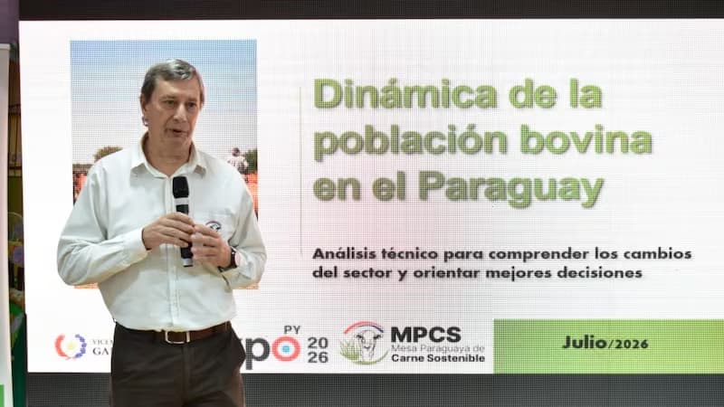 GANADERÍA PARAGUAYA BUSCA FORTALECER SU DESARROLLO CON NUEVO ANÁLISIS DEL HATO BOVINO