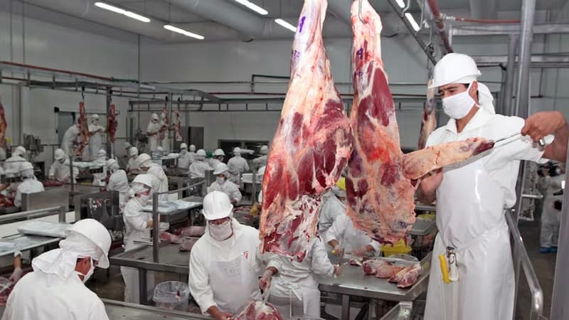 PARAGUAY RECLAMA EQUIDAD EN EL REPARTO DE CUOTAS DE CARNE DEL MERCOSUR