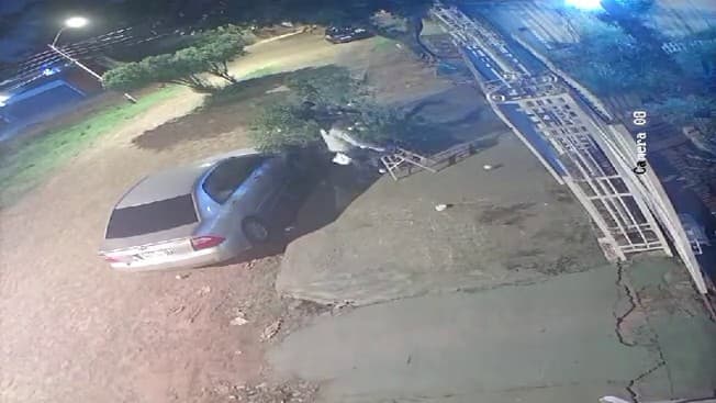 ¡POR BAJAR UN POMELO LE CAYÓ MEDIO ÁRBOL ENCIMA!